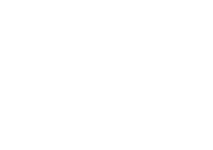 Elisa